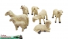 Art.-Nr. 550702 - 7 Sheep (6 pieces) in set